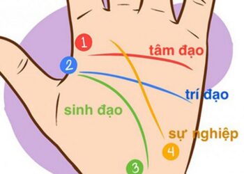 Xem chỉ tay đoán vận mệnh