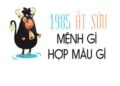1985 mệnh gì là điều mà rất đông bạn đọc quan tâm