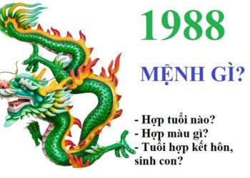 “1988 mệnh gì?” là từ khóa được tìm kiếm nhiều nhất