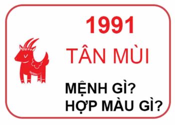 1991 mệnh gì liệu có những bí ẩn gì xoay quanh nó ?