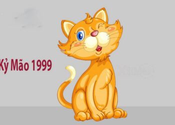1999 mệnh gì là câu hỏi lớn của người sinh năm 1999