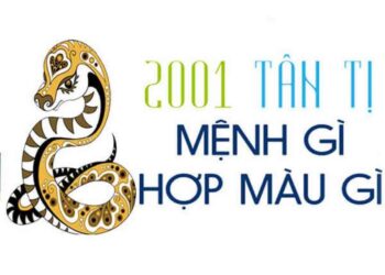 2001 mệnh gì? Yếu tố quyết định tính cách của người tuổi Tân Tỵ