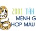 2001 mệnh gì? Yếu tố quyết định tính cách của người tuổi Tân Tỵ