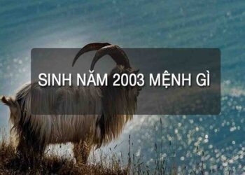 Mệnh mộc trả lời cho 2003 mệnh gì