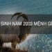 Mệnh mộc trả lời cho 2003 mệnh gì