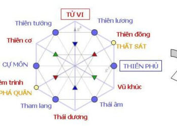 14 sao trong chính tinh