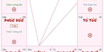 Xem lá số tử vi chân cơ để làm gì?