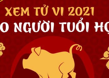 Có nên tin tử vi tuổi không? Lý do mọi người hay xem tử vi?