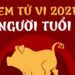 Có nên tin tử vi tuổi không? Lý do mọi người hay xem tử vi?