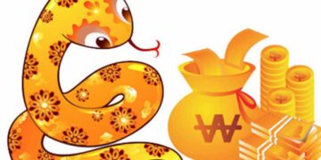 Đặc điểm người tuổi Tỵ thế nào?