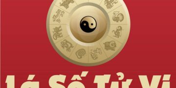 Một số thông tin chi tiết về cung