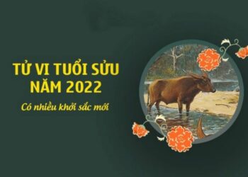Luận giải tử vi 2022 tuổi Sửu chi tiết