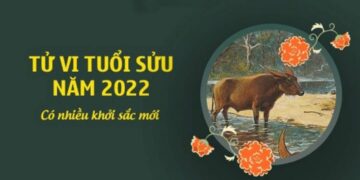 Luận giải tử vi 2022 tuổi Sửu chi tiết