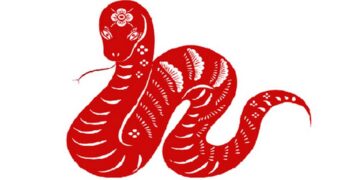 Tổng quan vận hạn của người tuổi Tỵ năm 2022 Nhâm Dần