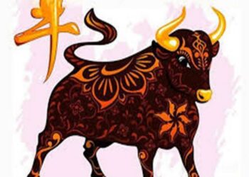 Nhược điểm người tuổi Sửu