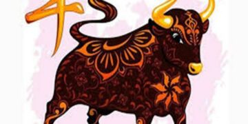 Nhược điểm người tuổi Sửu