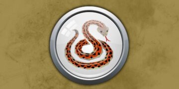 Tuổi Tỵ là tuổi con gì?