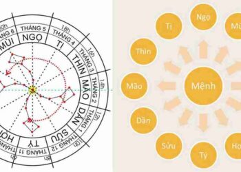 Cách đọc cục và mệnh khi lập lá số tử vi