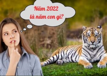 Năm 2022 là năm con gì? mệnh gì