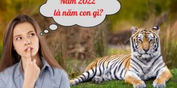 Năm 2022 là năm con gì? mệnh gì