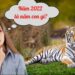 Năm 2022 là năm con gì? mệnh gì