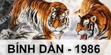Tử vi tuổi Bính Dần 1986