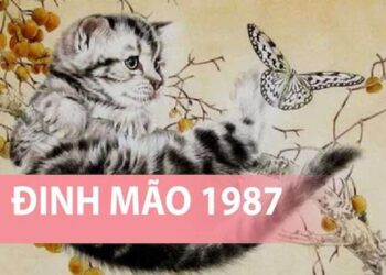 Tử vi tuổi Đinh Mão