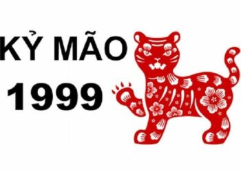 Tử vi tuổi Kỷ Mão