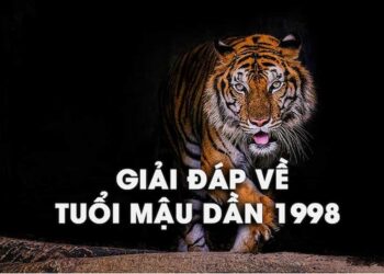 tử vi tuổi Mậu Dần 1998