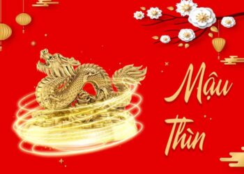 Bình giải tử vi tuổi Mậu Thìn 1988 trọn đời