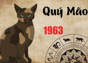 Tử vi tuổi Qúy Mão