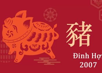 Tử vi tuổi Đinh Hợi 2007: Tổng quan vận mệnh, tình yêu, sự nghiệp