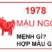 Tử vi tuổi Mậu Ngọ
