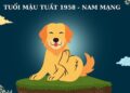 Tử vi tuổi Mậu Tuất 1958 - Nam mạng, Nữ mạng chi tiết nhất