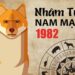 Tử vi tuổi Nhâm Tuất 1982: tổng quan về vận mệnh, tình yêu và sự nghiệp