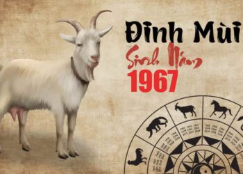 Tử vi tuổi Đinh Mùi trọn đời - Nam mạng, Nữ mạng chi tiết nhất