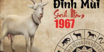 Tử vi tuổi Đinh Mùi trọn đời - Nam mạng, Nữ mạng chi tiết nhất