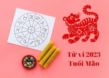 Tử vi tuổi Mão 2023: Tài lộc - Sự nghiệp - Tình duyên - Gia đạo