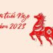 Tử vi tuổi Ngọ 2023: Tài lộc - Sự nghiệp - Tình duyên - Gia đạo