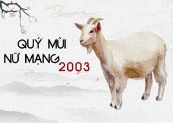 Luận giải tử vi tuổi Quý Mùi 2003 - Nam mạng, Nữ mạng chi tiết nhất
