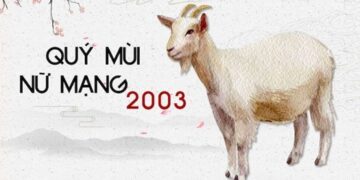 Luận giải tử vi tuổi Quý Mùi 2003 - Nam mạng, Nữ mạng chi tiết nhất