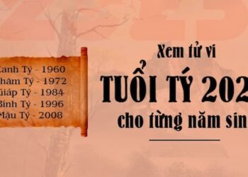 Tử vi tuổi Tý 2023: Tài lộc - Sự nghiệp - Tình duyên - Gia đạo