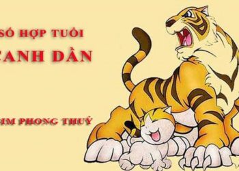Tuổi Dần hợp với số nào theo phong thuỷ, tử vi - Hỏi đáp