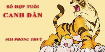 Tuổi Dần hợp với số nào theo phong thuỷ, tử vi - Hỏi đáp