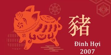 Hỏi đáp chi tiết: Tuổi Hợi hợp với số nào theo phong thuỷ