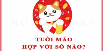 Các tuổi Mão hợp với số nào theo phong thuỷ, tử vi nhất