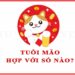 Các tuổi Mão hợp với số nào theo phong thuỷ, tử vi nhất