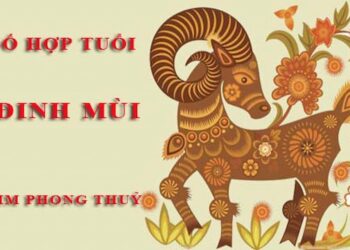Tuổi Mùi hợp với số nào theo phong thuỷ, ngũ hành - Giải đáp