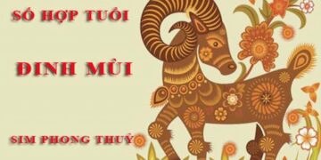 Tuổi Mùi hợp với số nào theo phong thuỷ, ngũ hành - Giải đáp