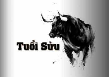 Tuổi Sửu hợp với số nào theo phong thuỷ, ngũ hành bản mệnh